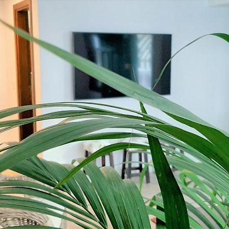 Alizuth Home بلايا هوندا المظهر الخارجي الصورة